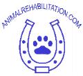 Rehab Treatments